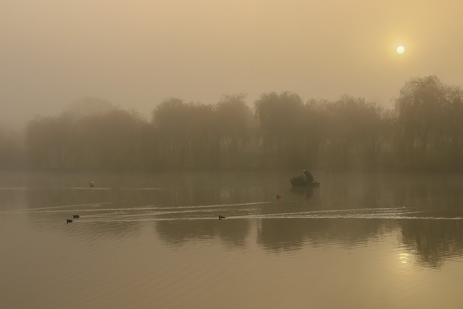 brume-matinale.jpg