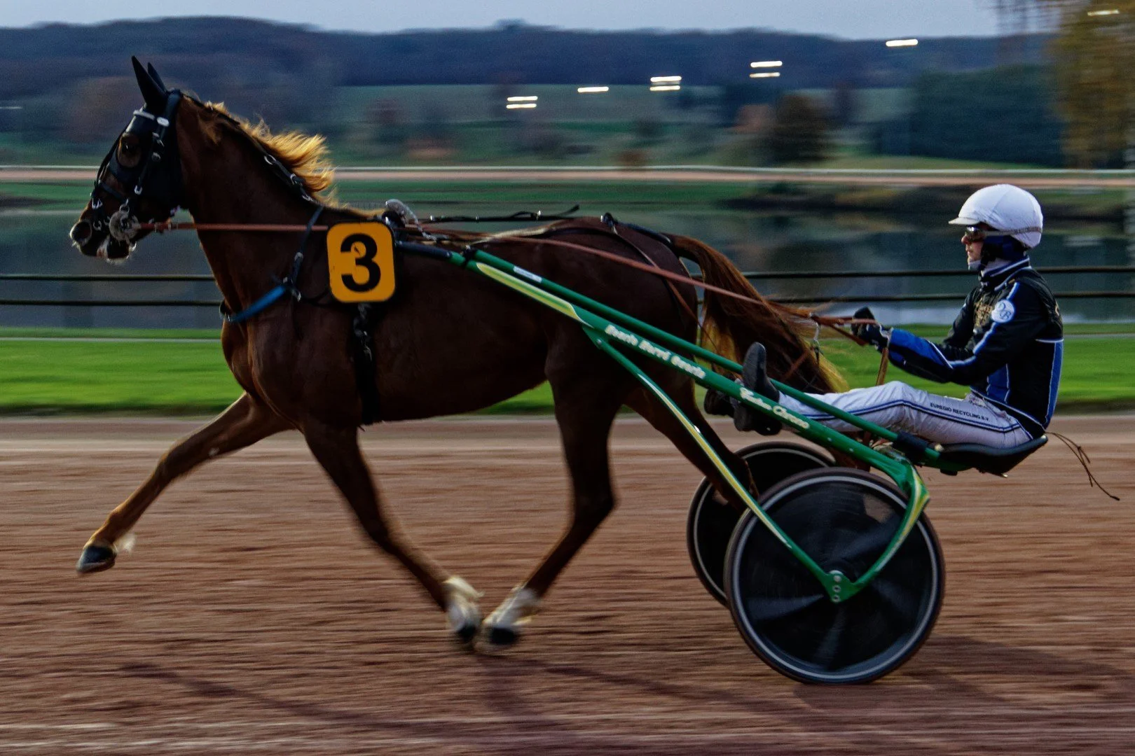 Sortie hippodrome novembre 2021