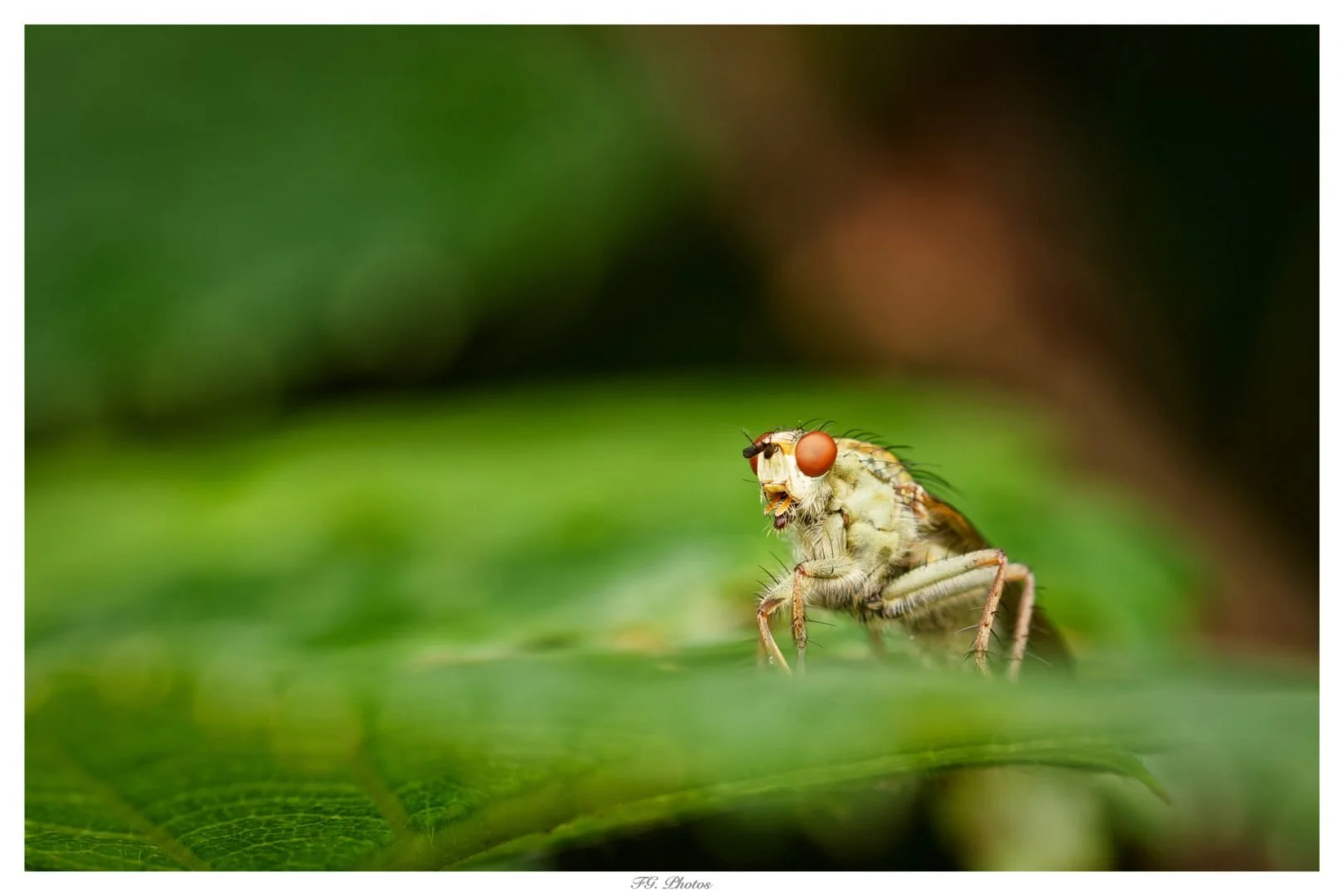 0A8A9639_DxO.jpg