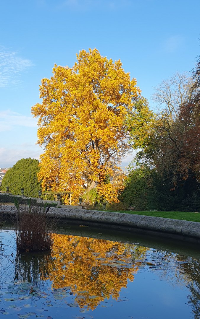 Laval-Image-Defi-Photos-60-ans-Parcs-003.jpg