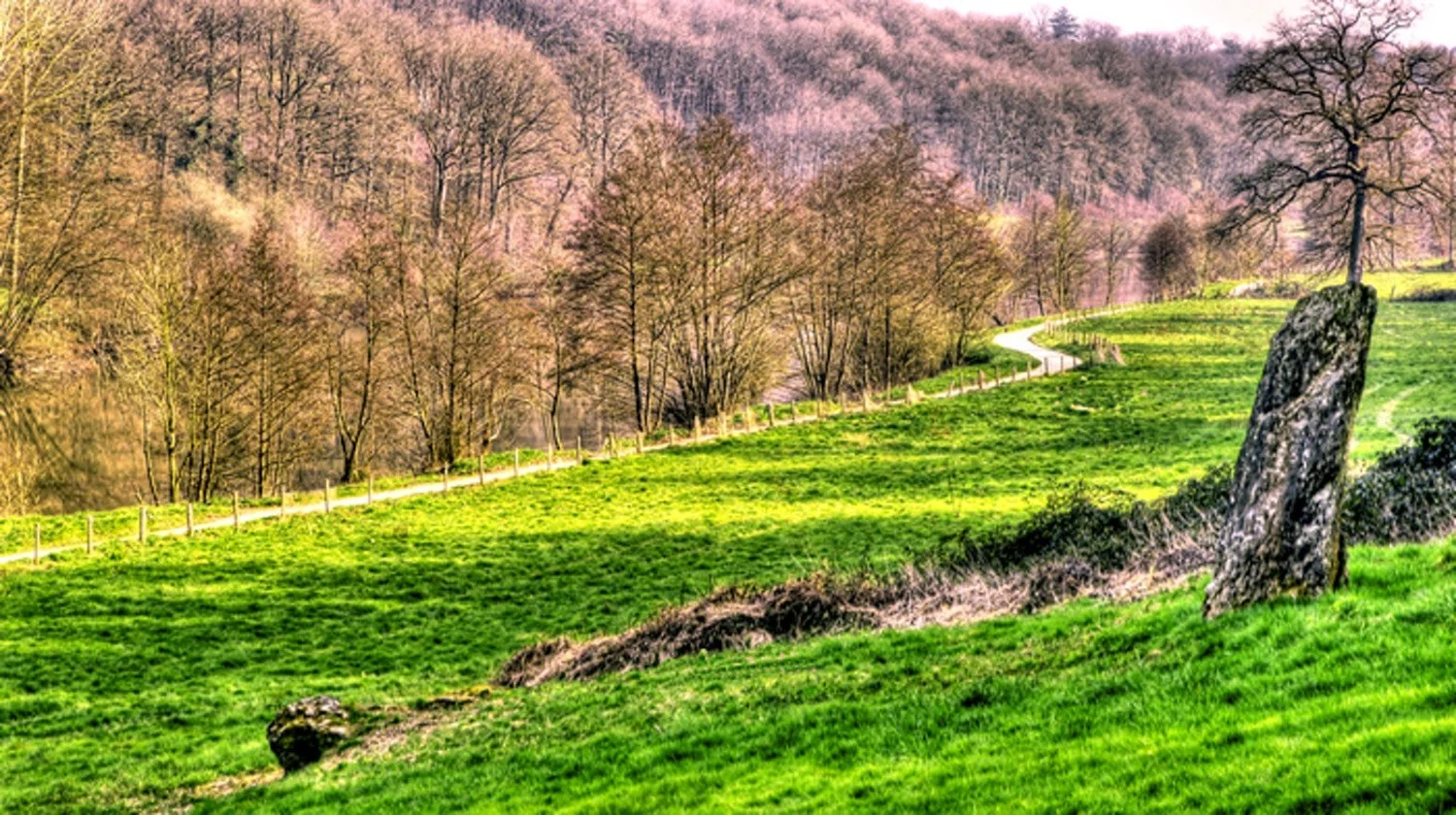 15-menhir-du-Haut-Fougeray.jpg