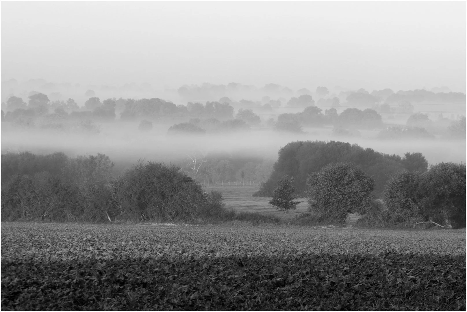 Brume-Matinale.jpg
