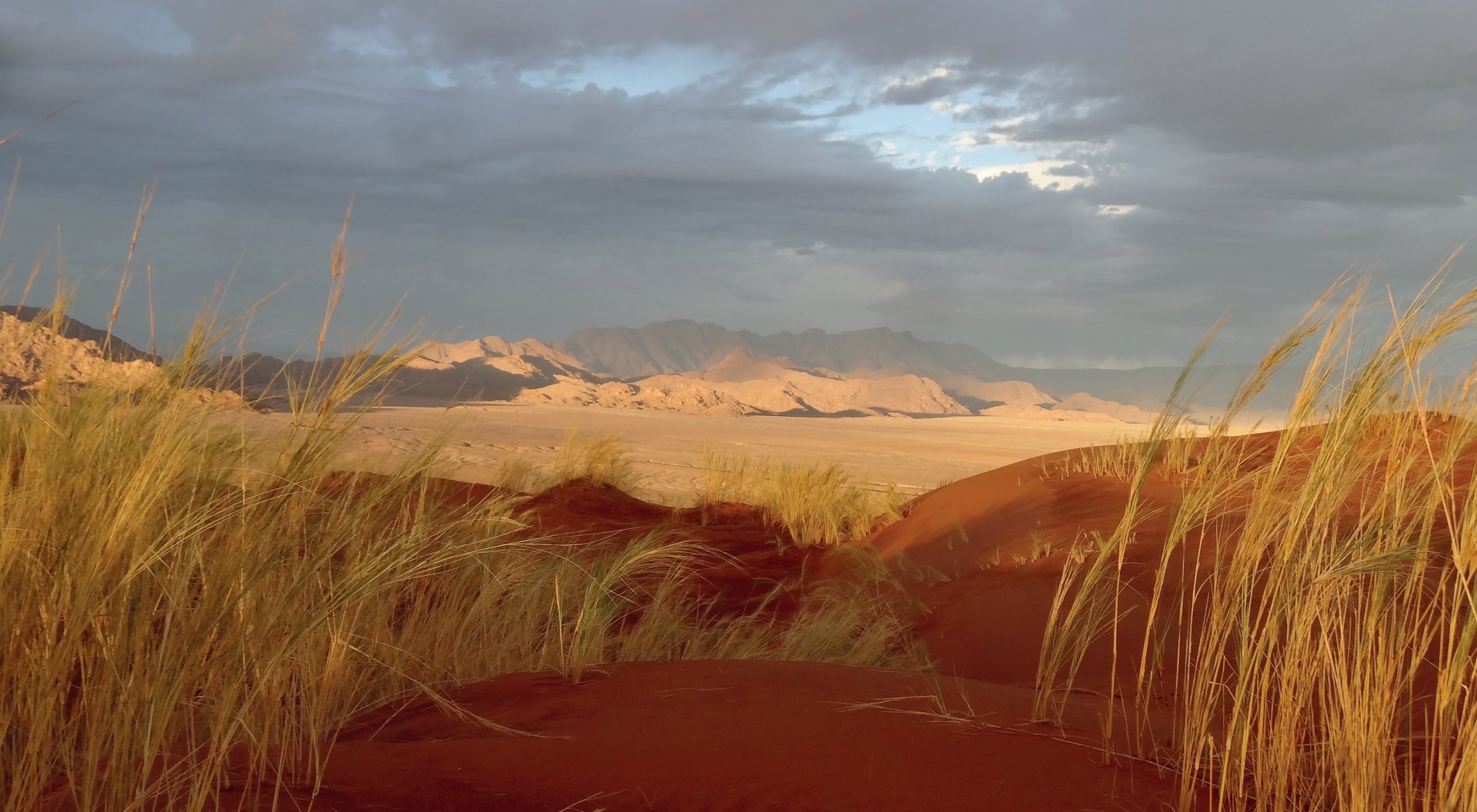 Régine-J.-Désert-du-Namib-01-60x33.jpg