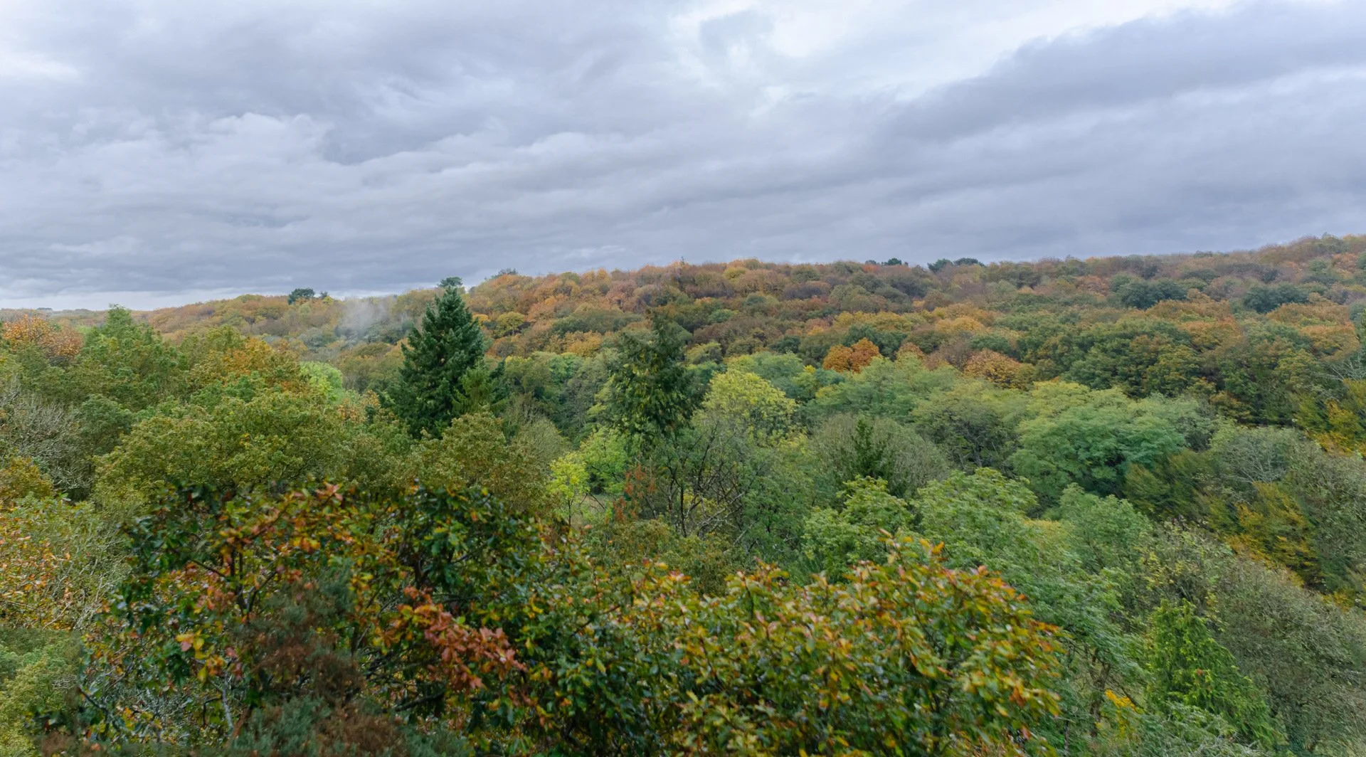 21_10_30-10_20_42-_DSC4321.jpg