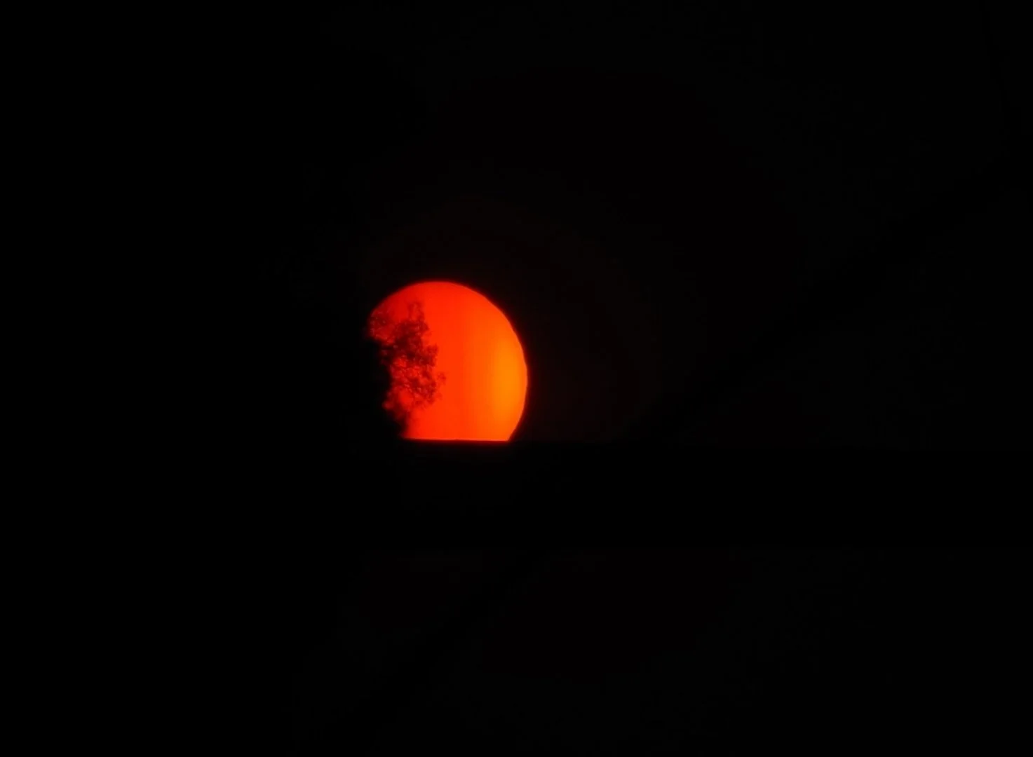 Boule-De-Feu.JPG