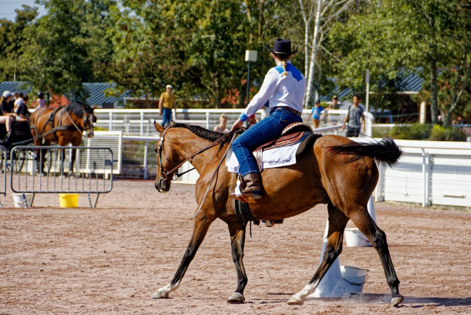 IMG_9882_DxO.jpg