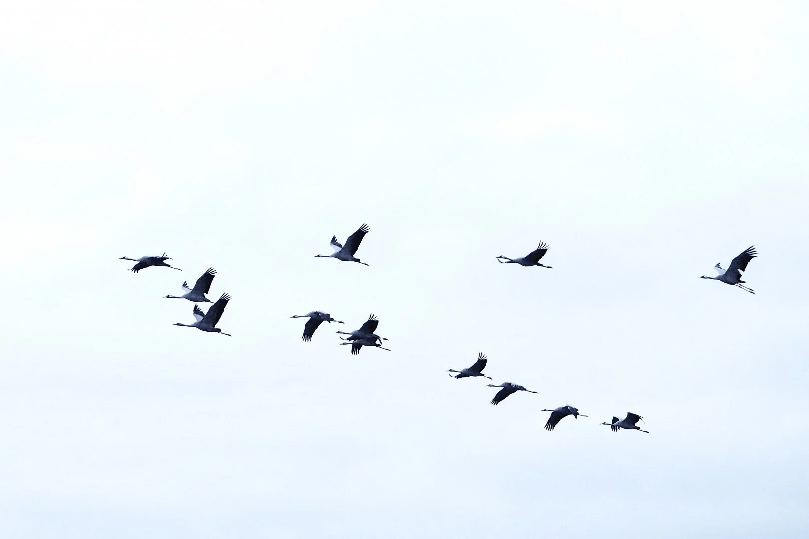 JV-Décembre-2019-1.jpg