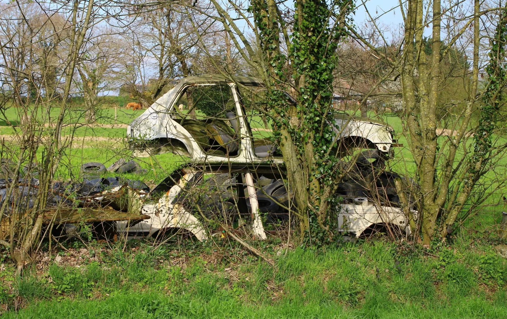 Les-arbres-cacheront-bientôt-ces-abandons....jpg