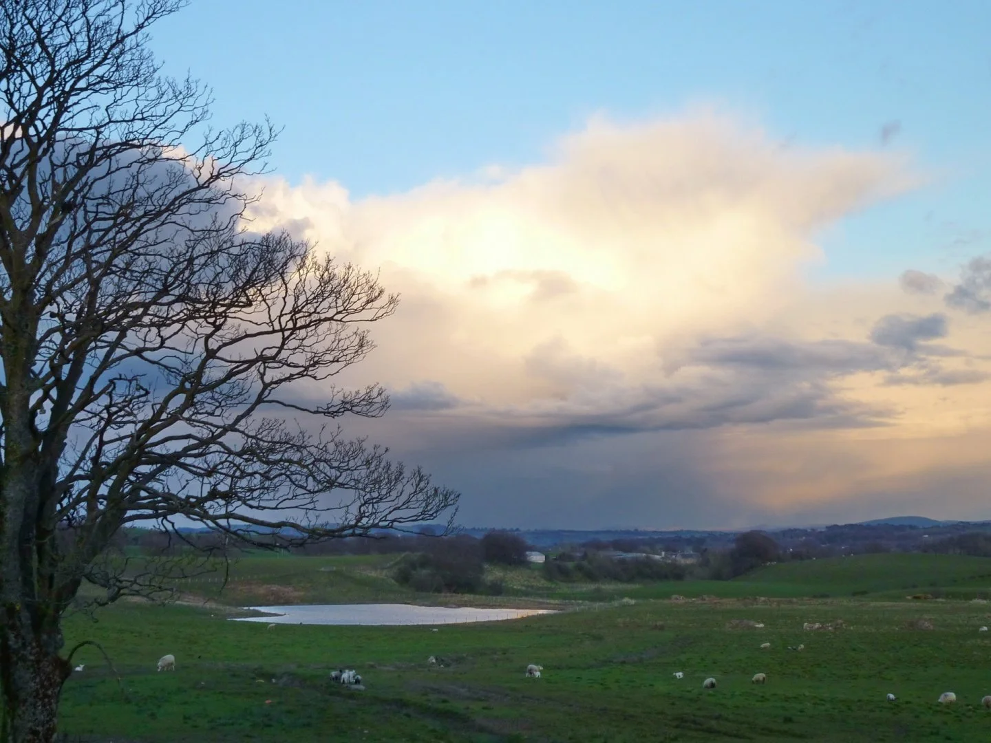 Paysage-dÉcosse.jpg