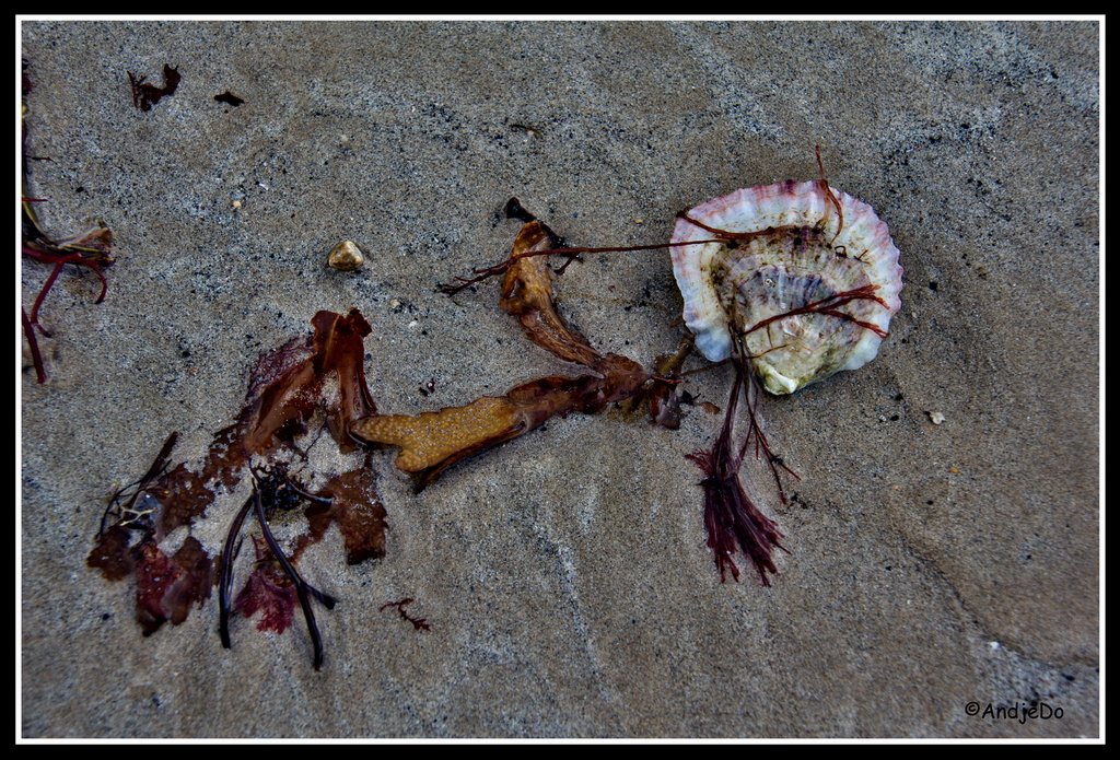 19ParamePlage.jpg