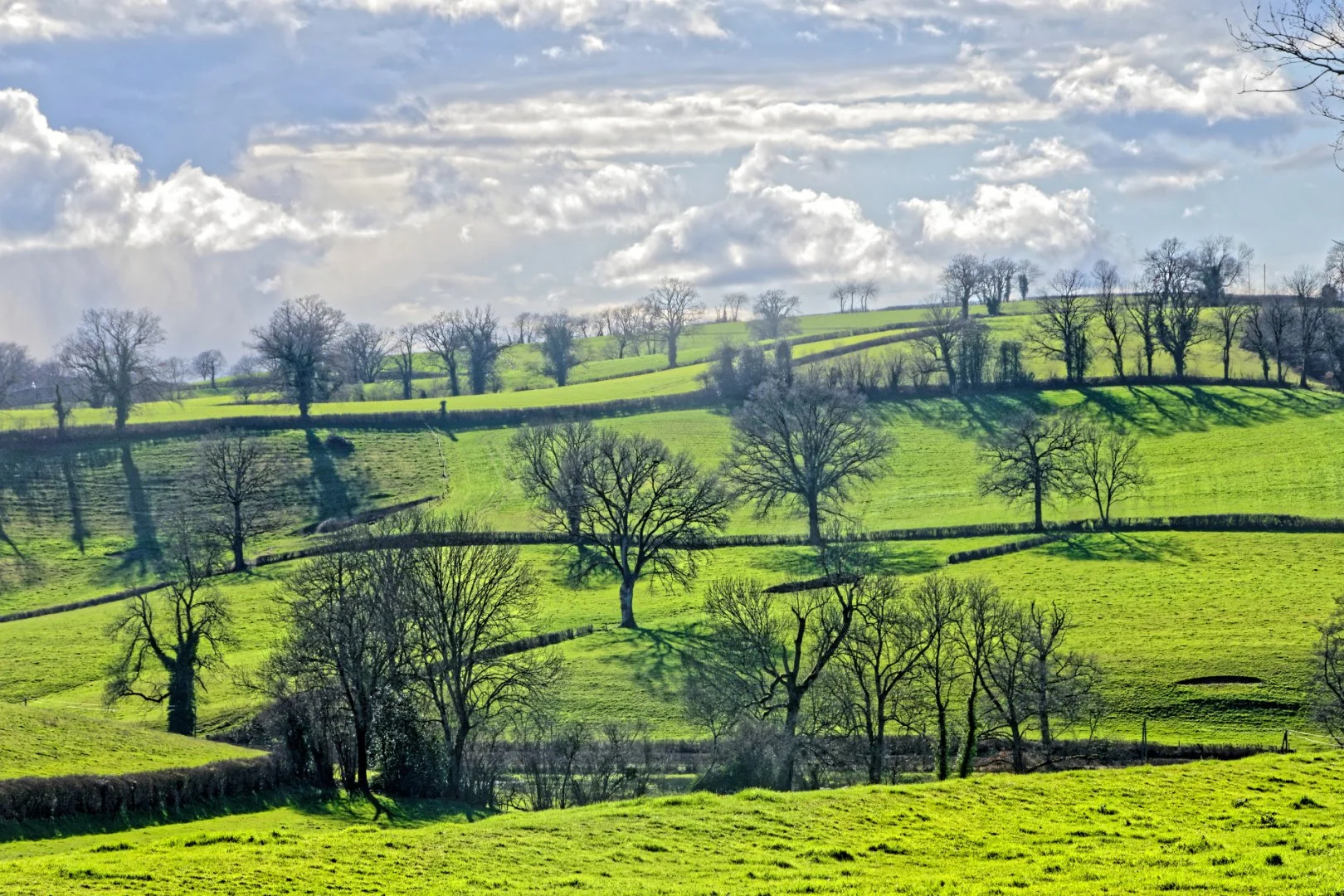 Bocage-du-Brionnais.jpg