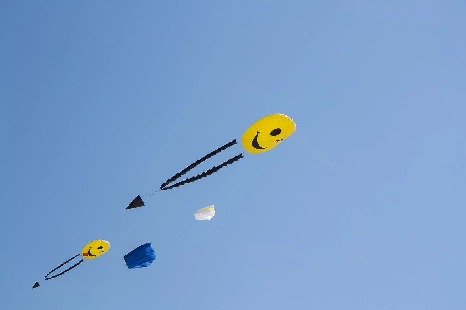 Cerrfs-volants-à-Berck.jpg