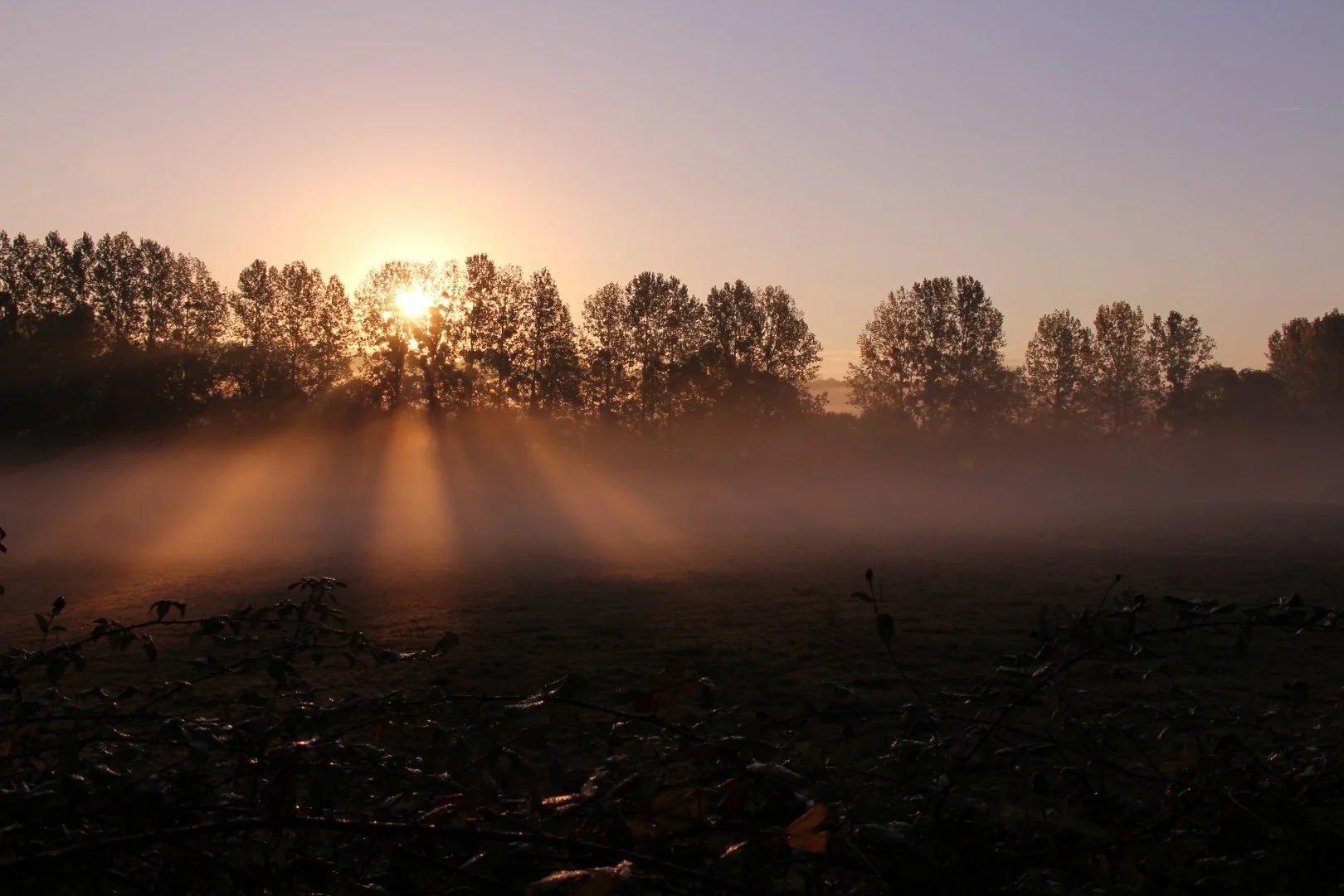 brume.JPG