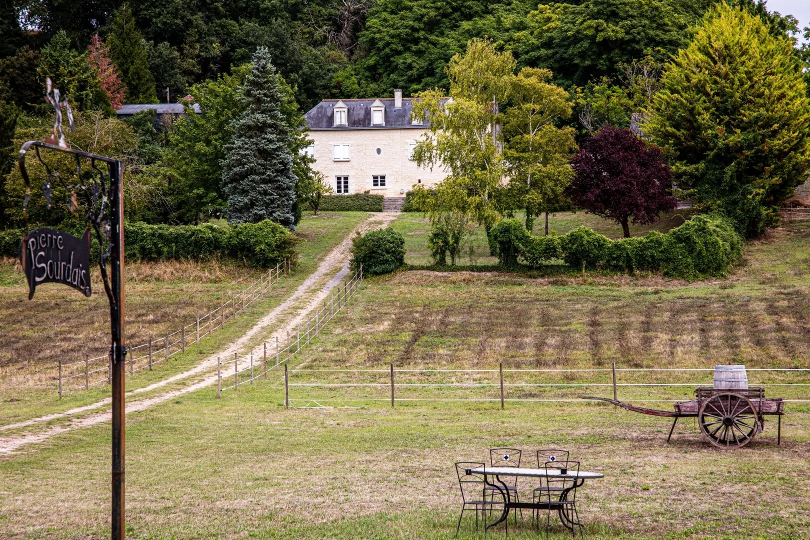 Chinon-sans-moderation.jpg