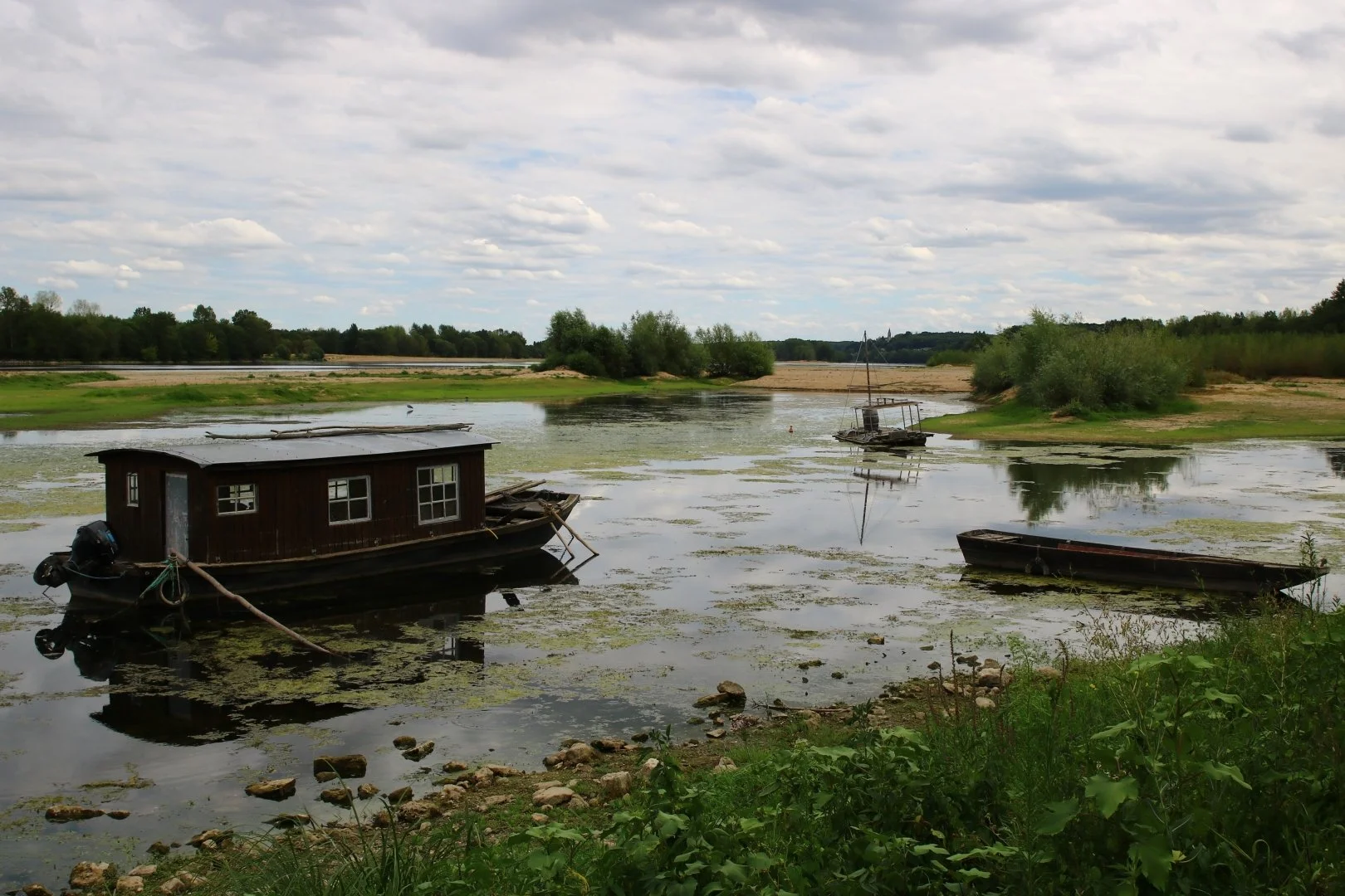 Val-de-Loire-à-Thoureil.JPG