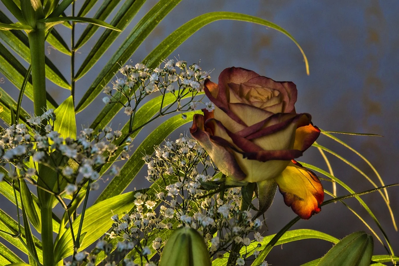 Bouquet.jpg