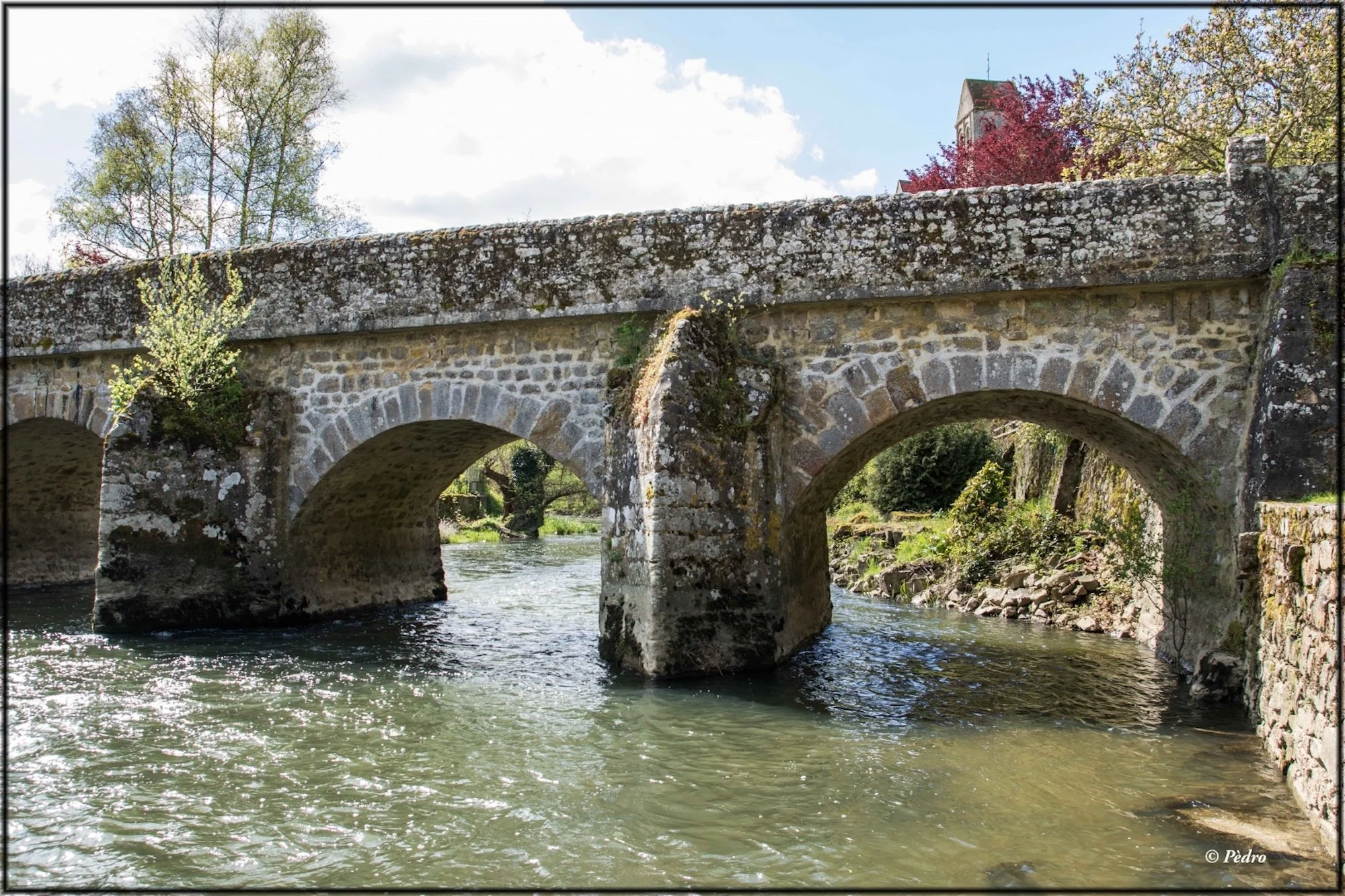 Promenade-à-Saint-Céneri-25.jpg