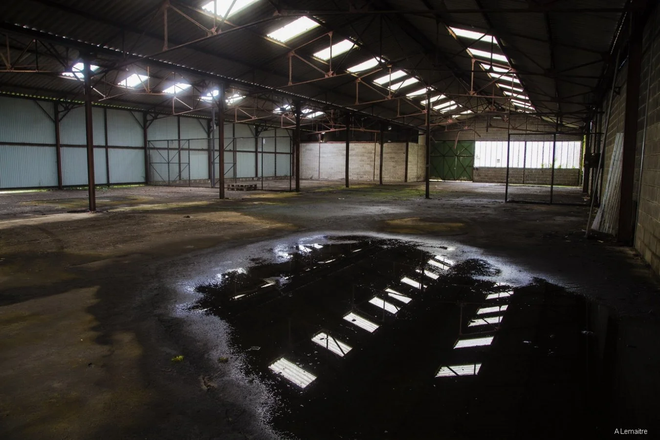 21-Hangars.jpg