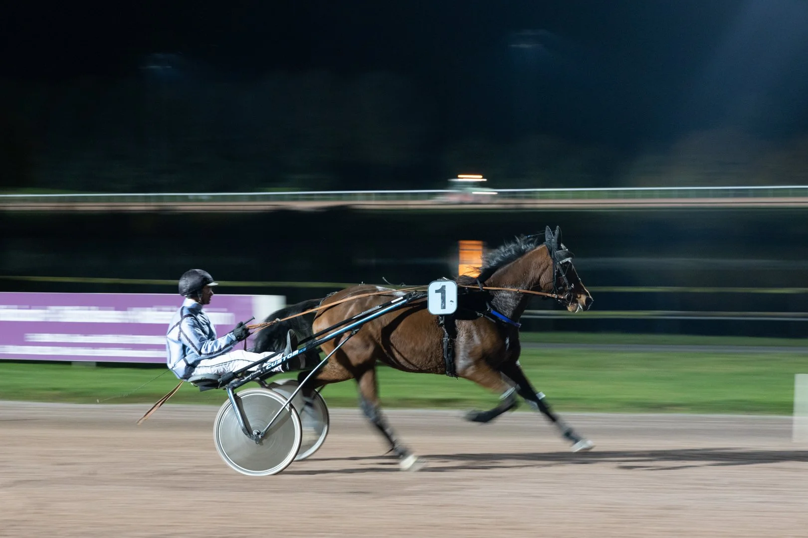 1T5A9086.jpg