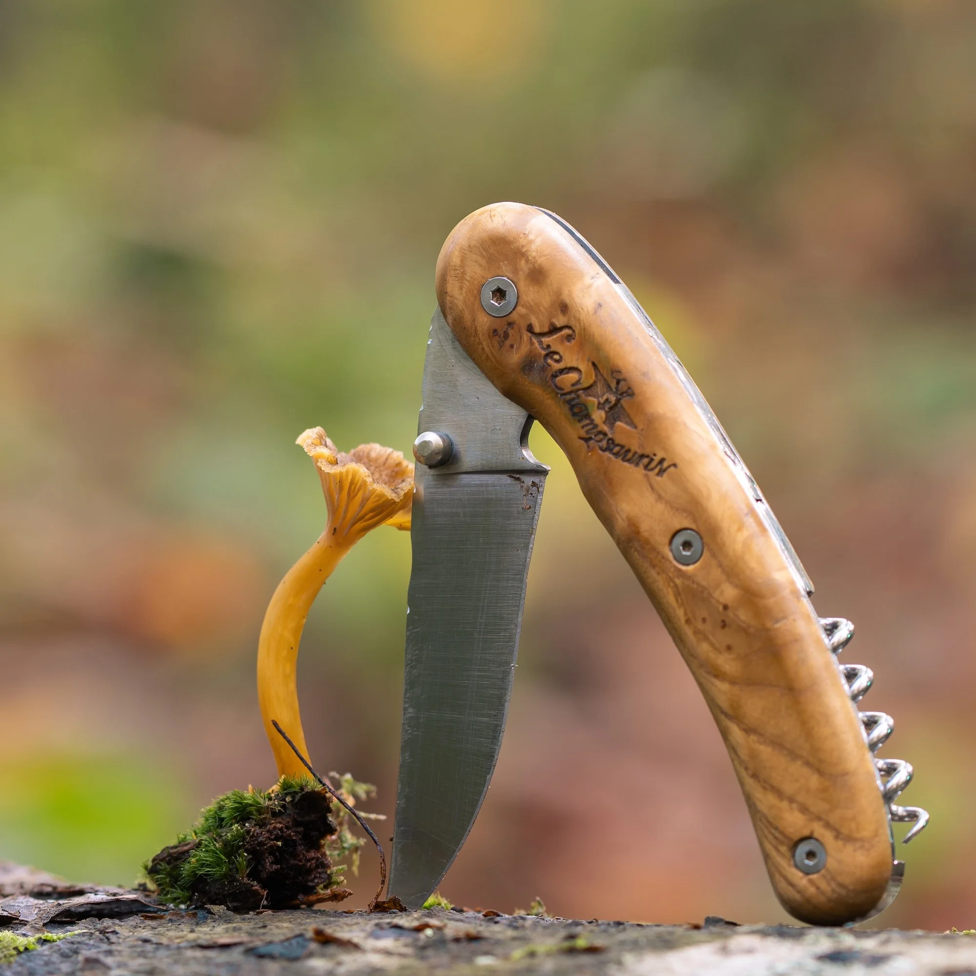 le couteau et le champignon.jpg
