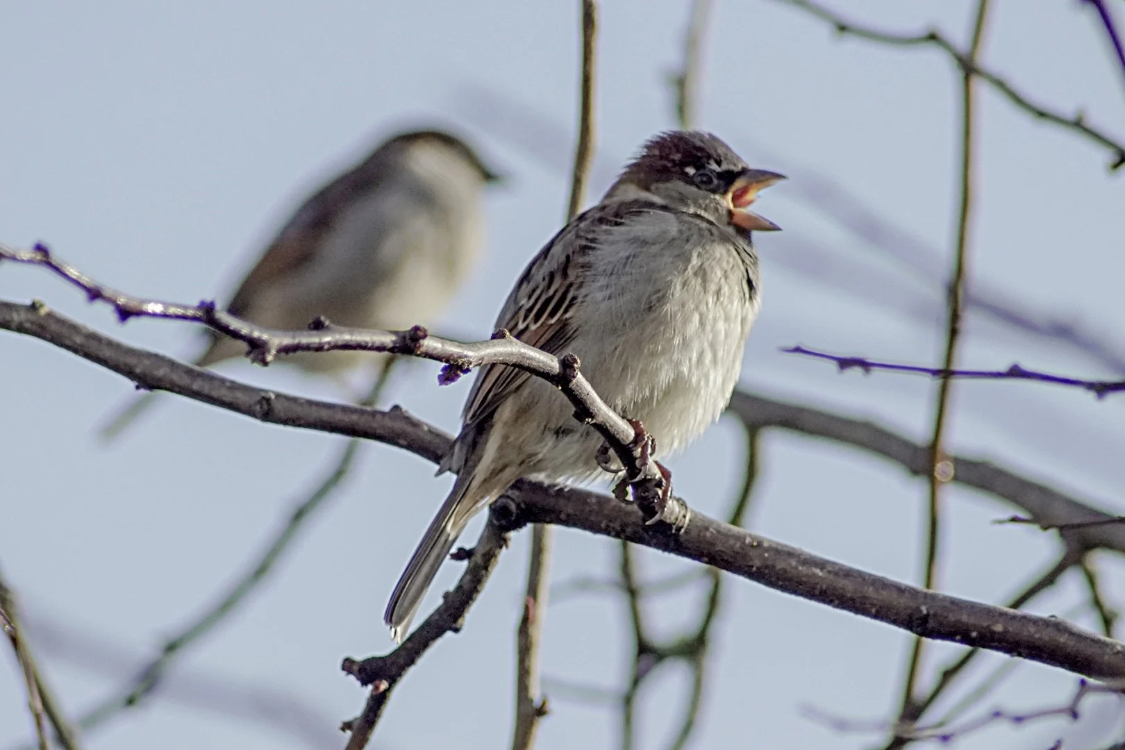 PD-01-2019-5.JPG