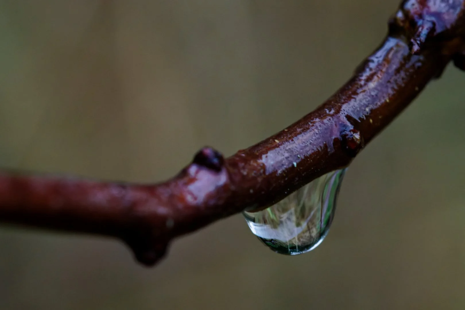 IMG_9069_DXO.jpg