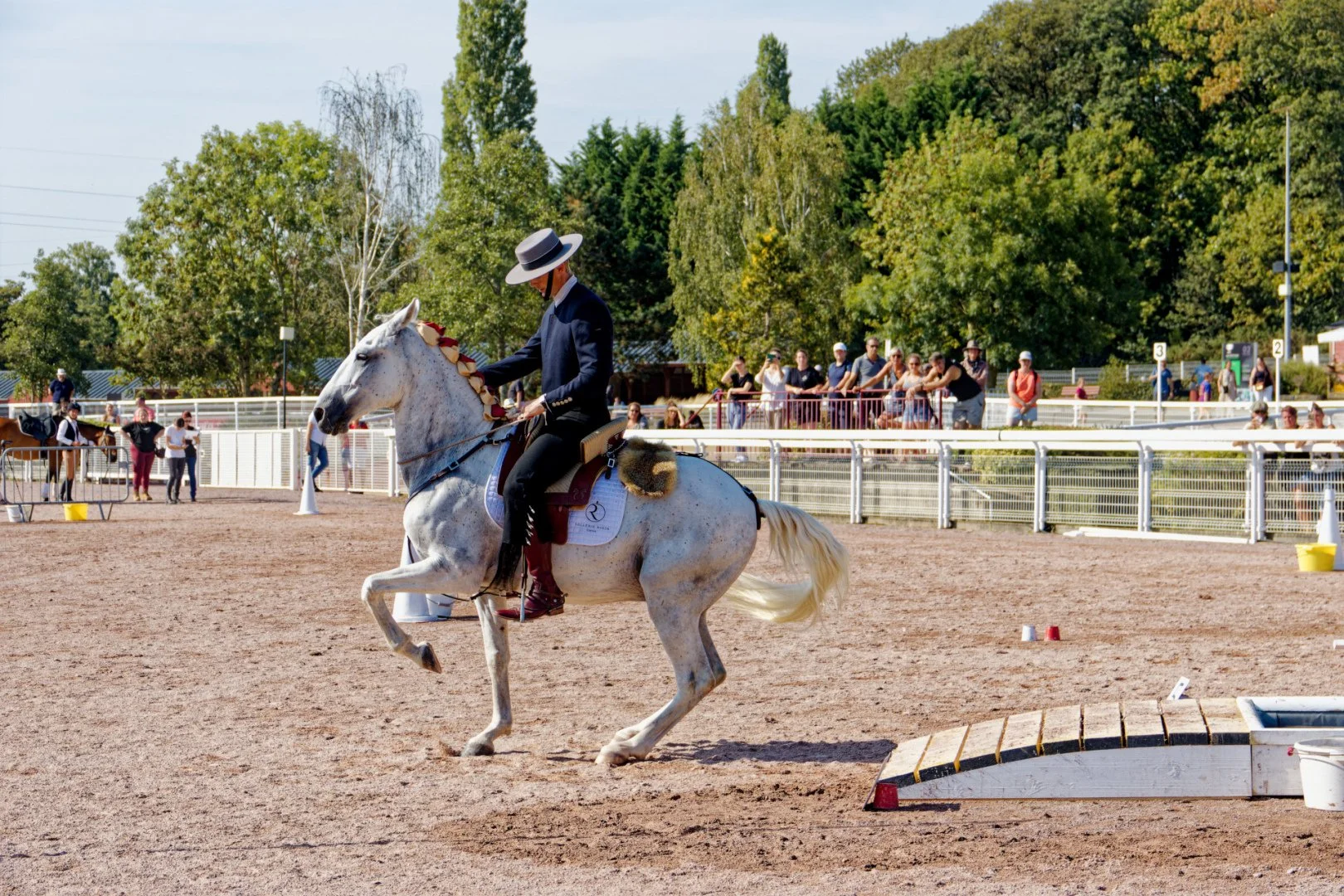 IMG_9968_DxO.jpg