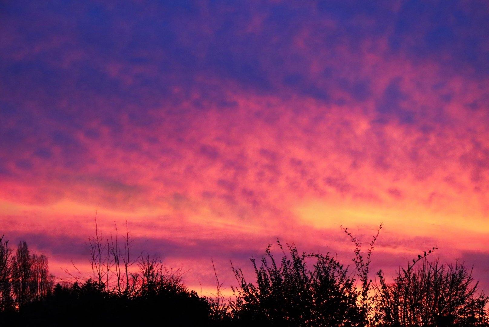 ciel-flamboyant-.jpg