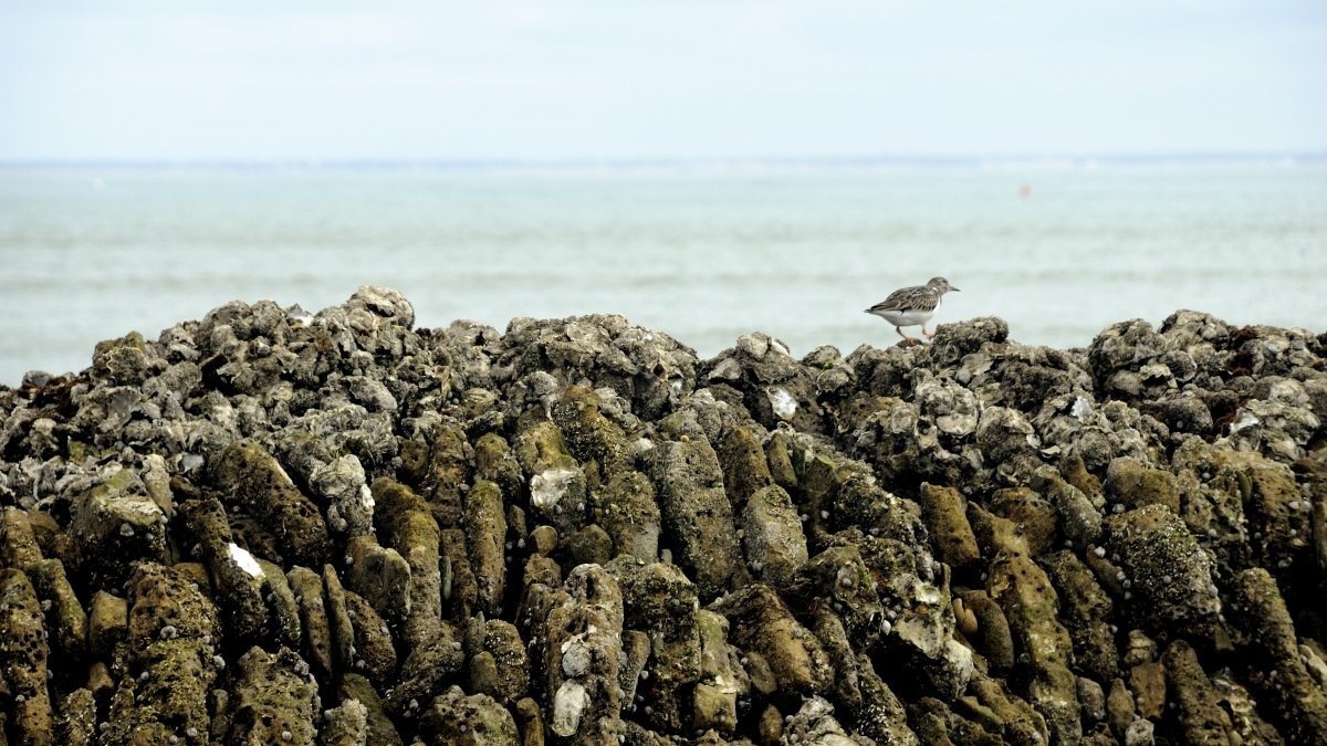 33JDRe_2013_DSC3729_01.JPG