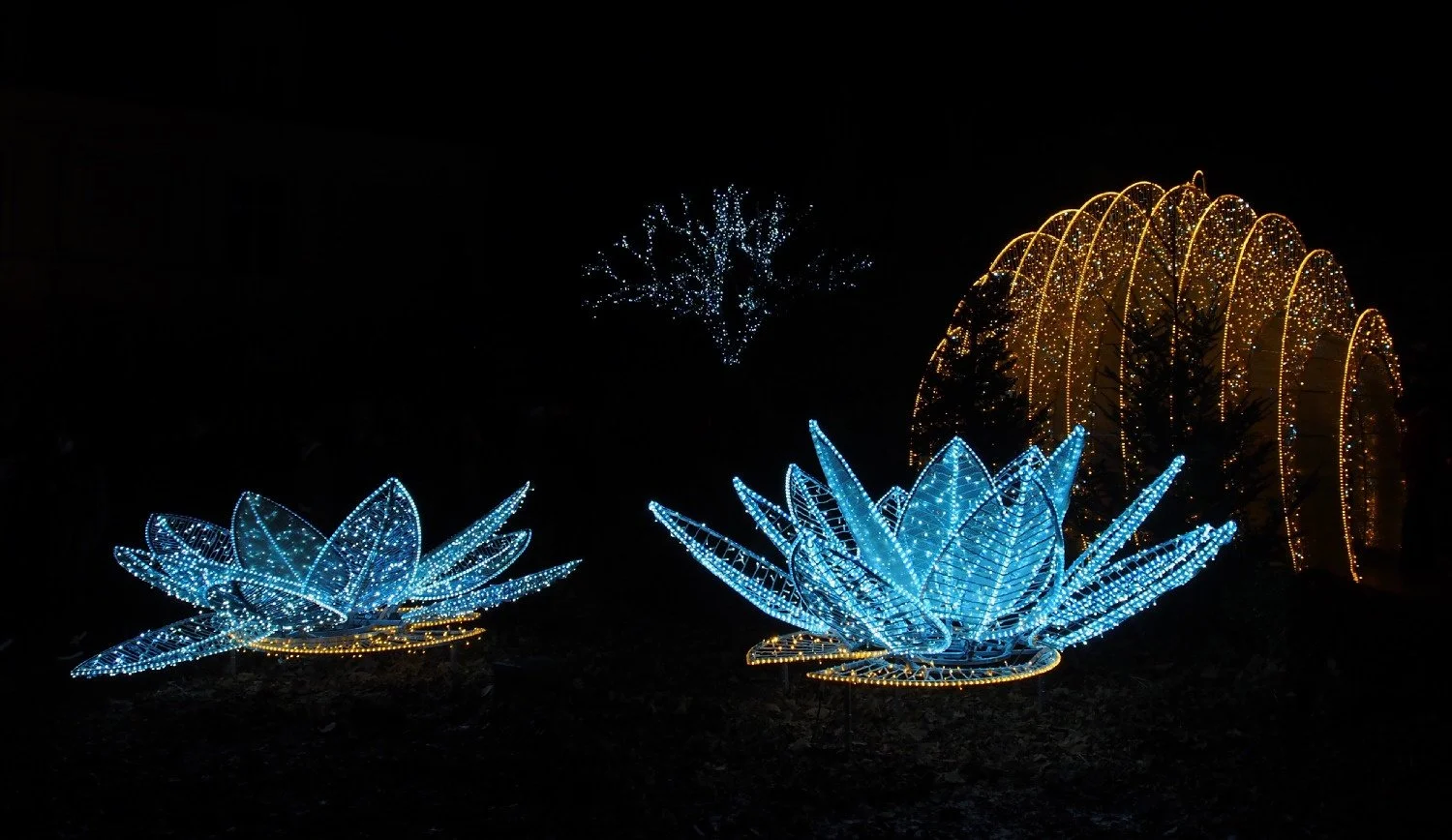 Décembre 2015