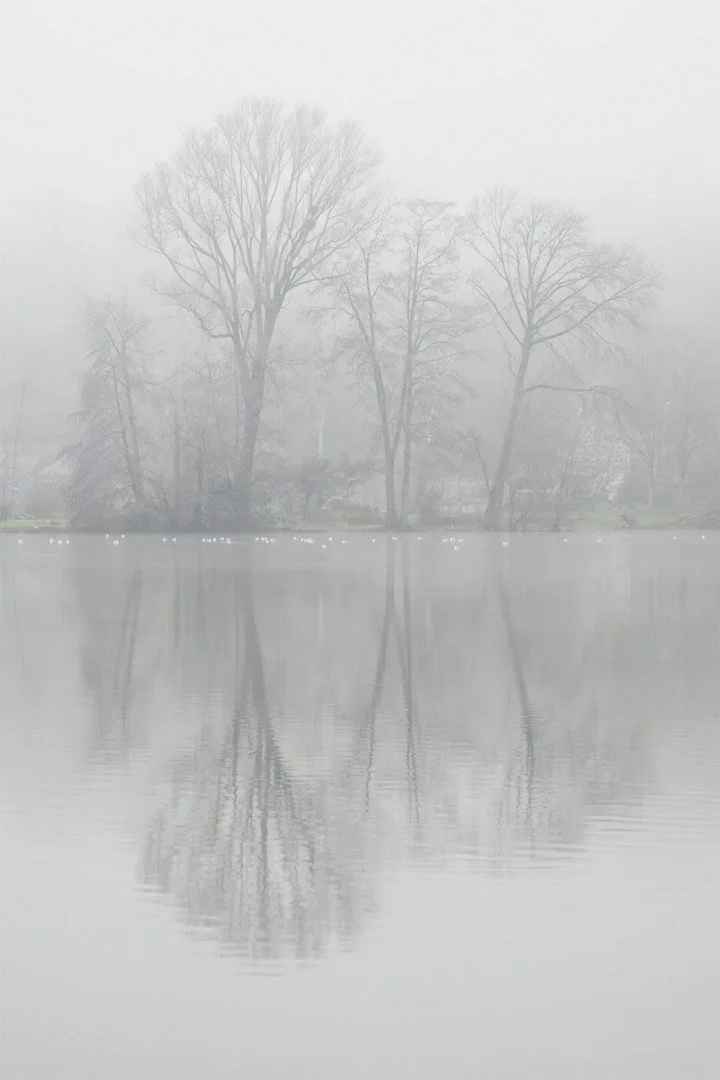 Reflet-hivernal.jpg