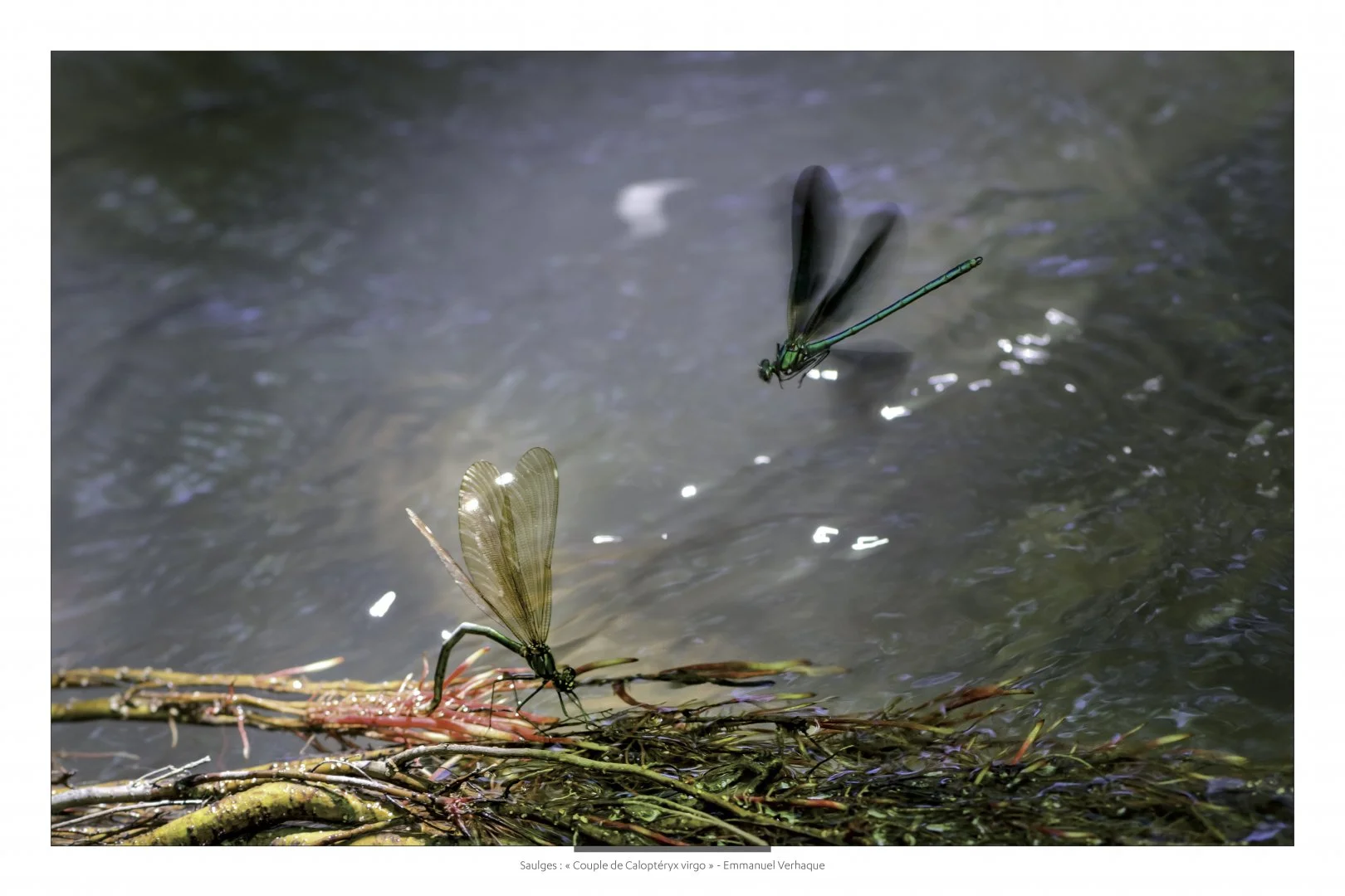 Support-Dibond-60X90cm-HD-1.jpg