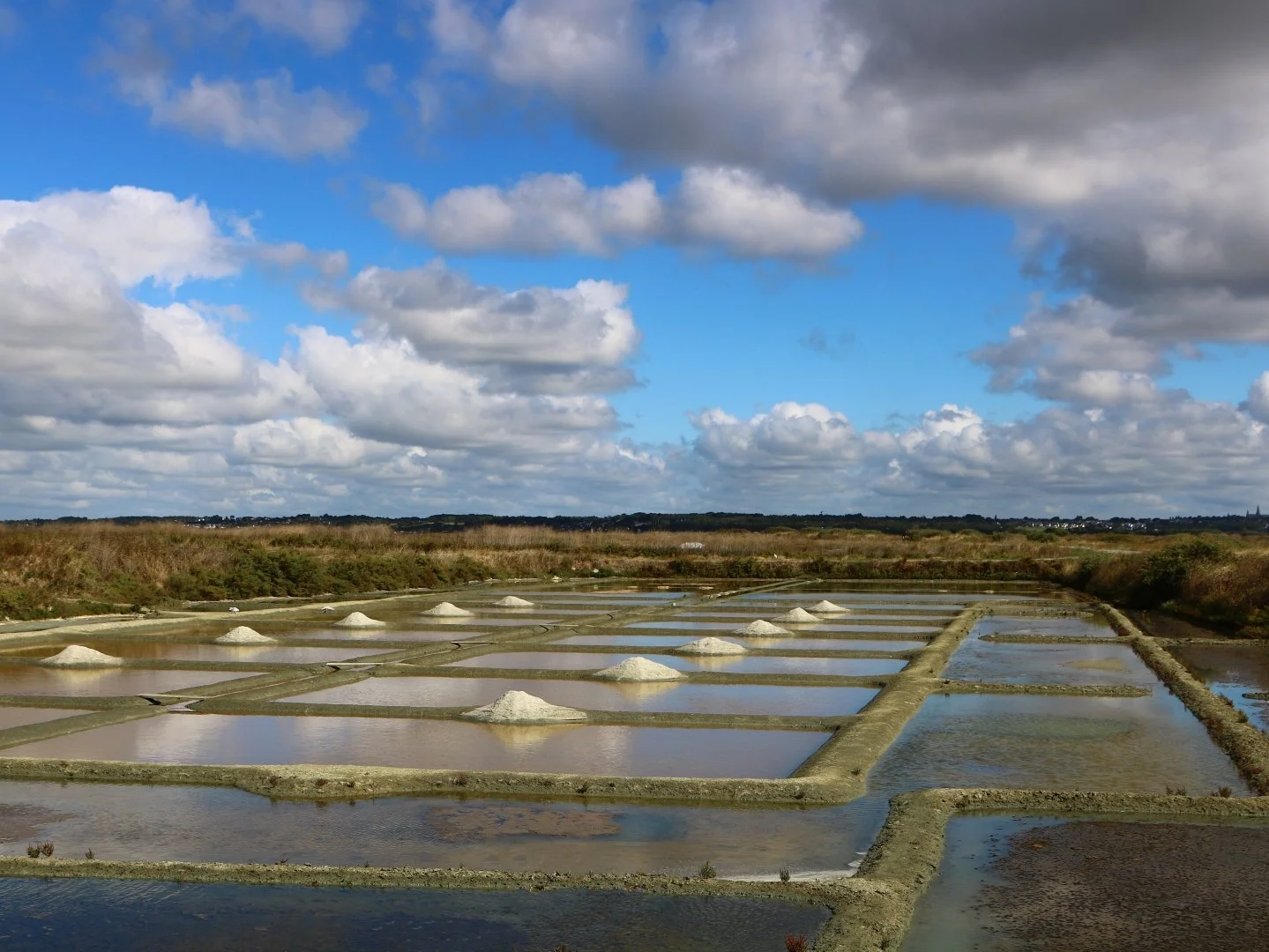 Marais-salants.JPG