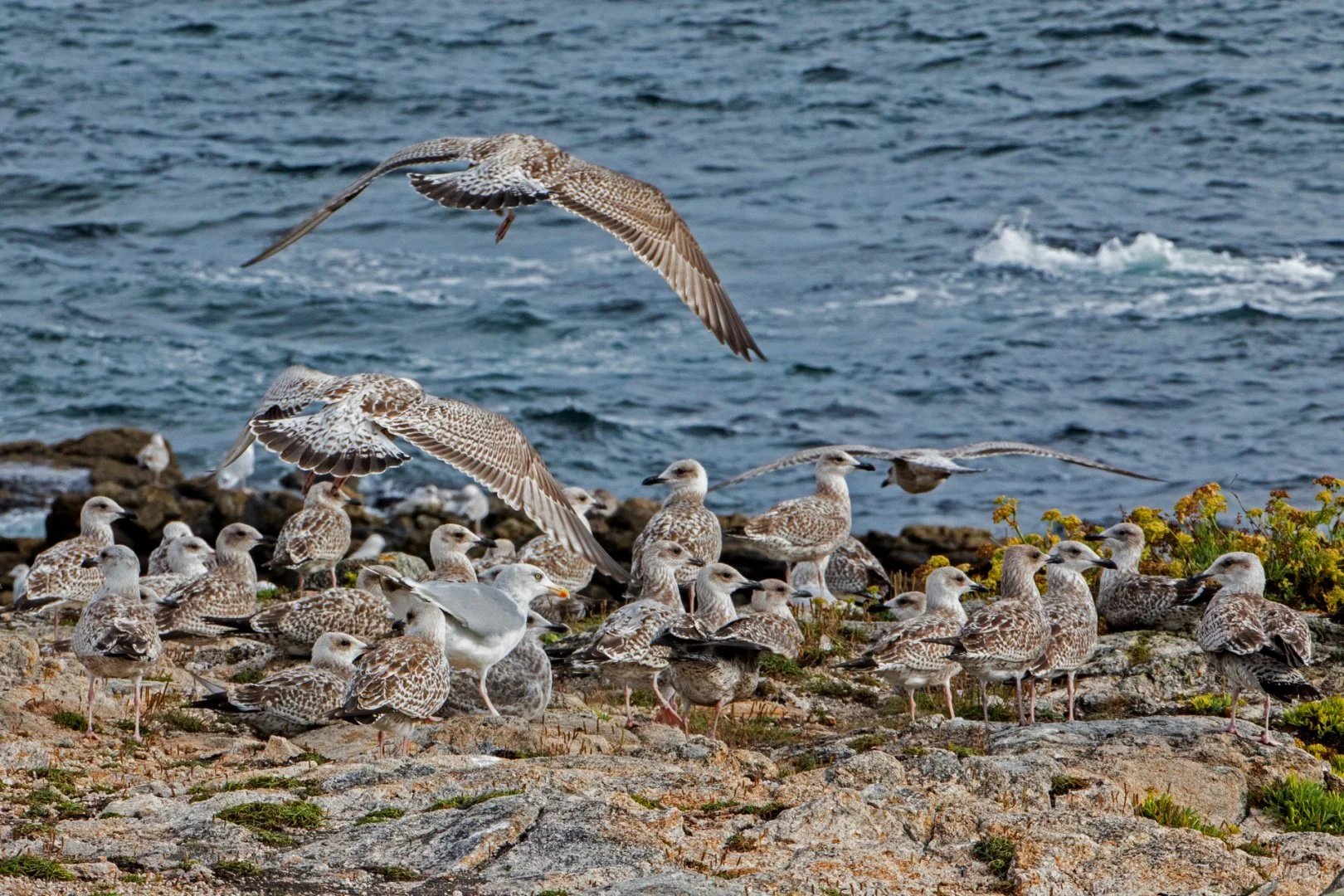 BA-10-21-05-F10-1-400-1250-ISO-a-125-mm-Copie.jpg