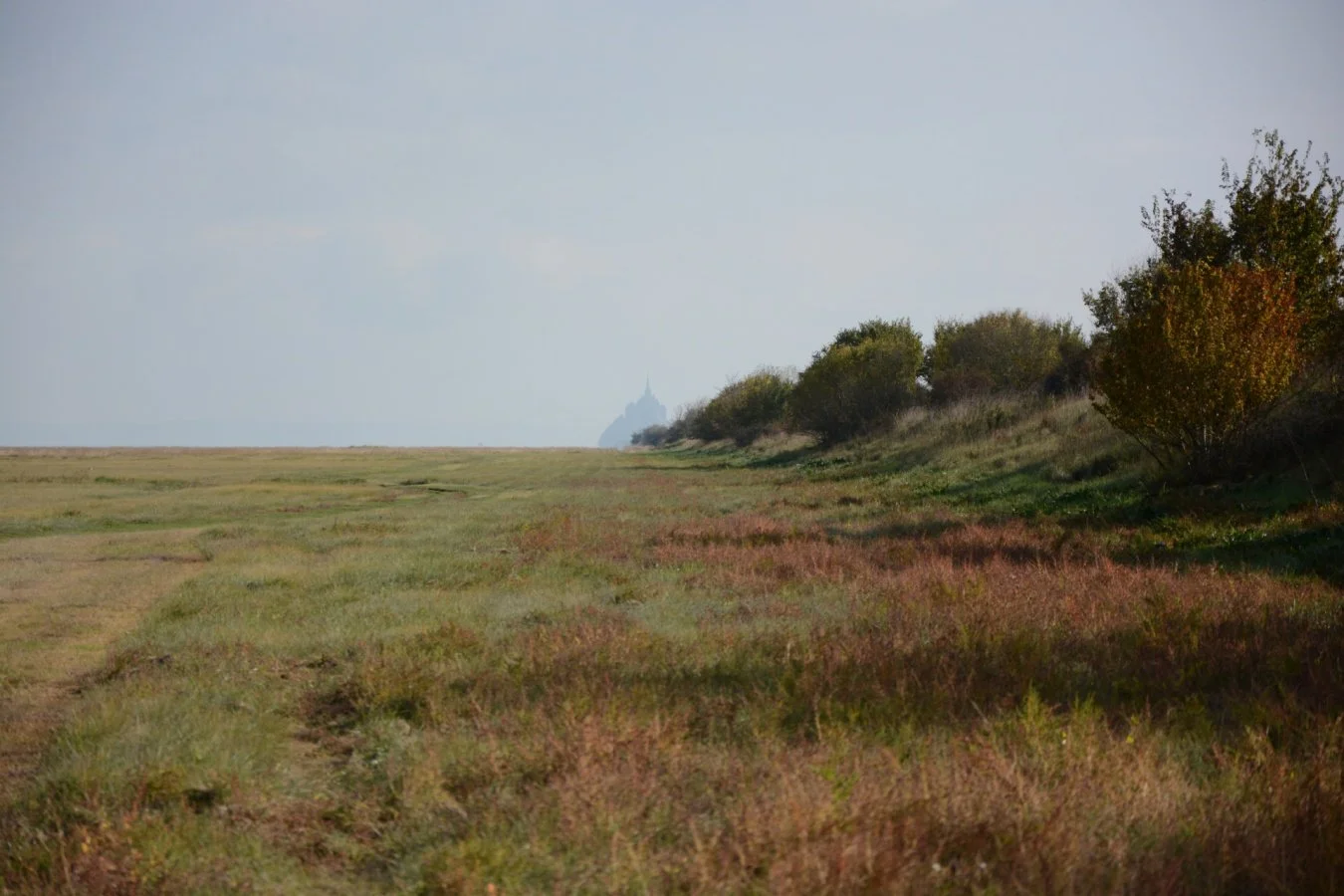 Polder-Sainte-Anne_li.jpg