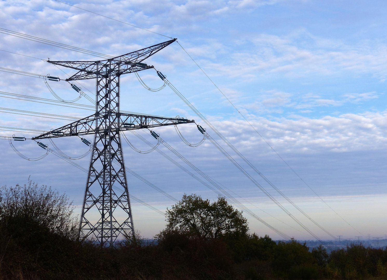la-fée-électricité.jpg