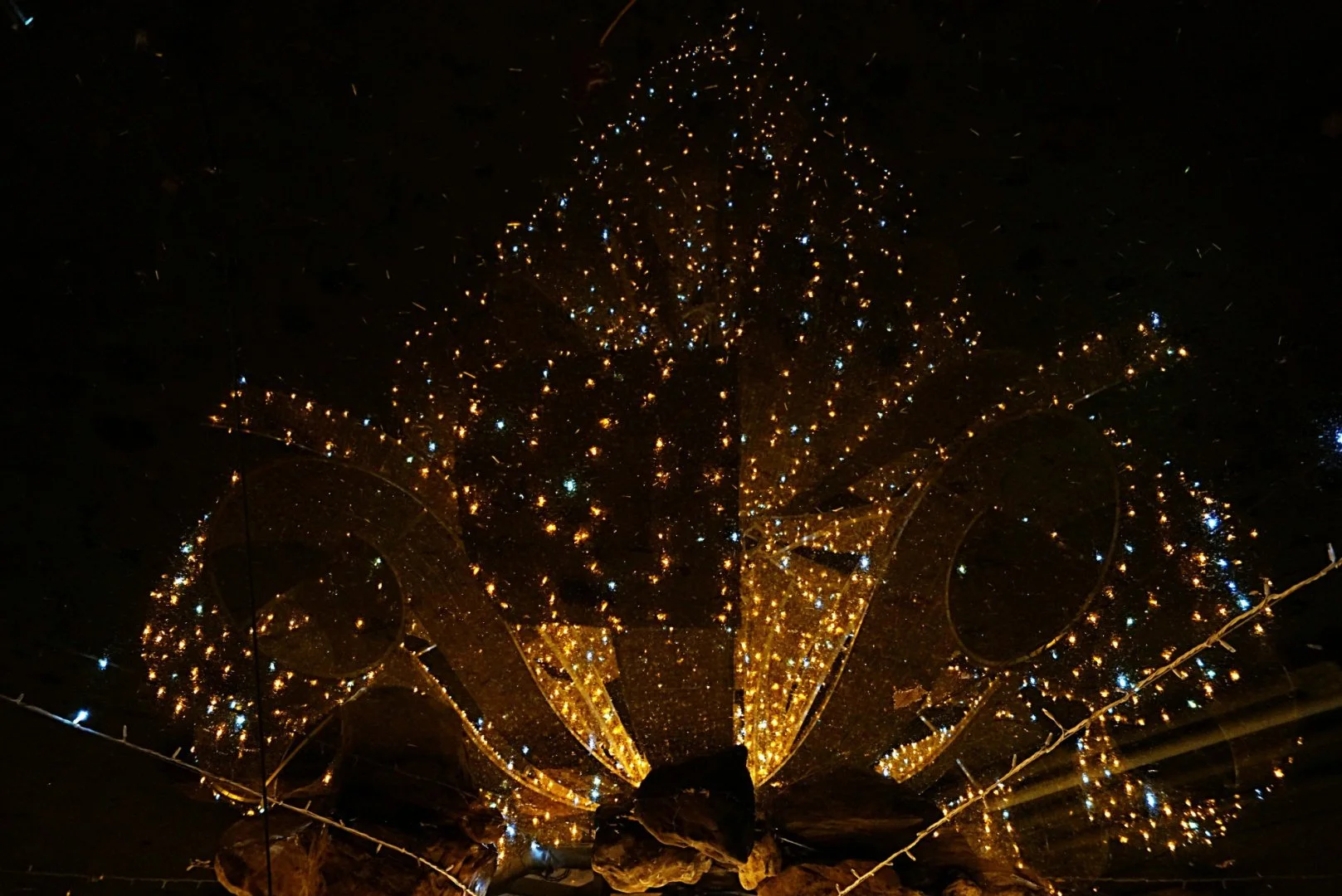 Illuminations-Laval-2016-11a.jpg