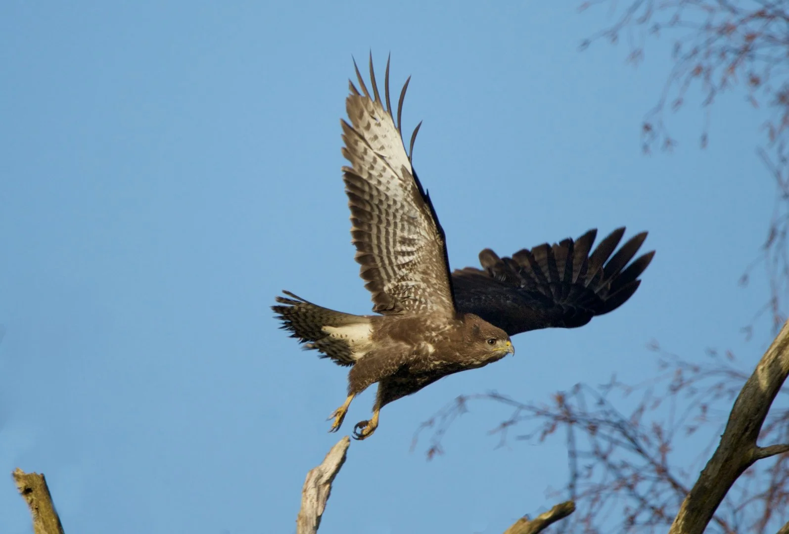 CP01202010.jpg
