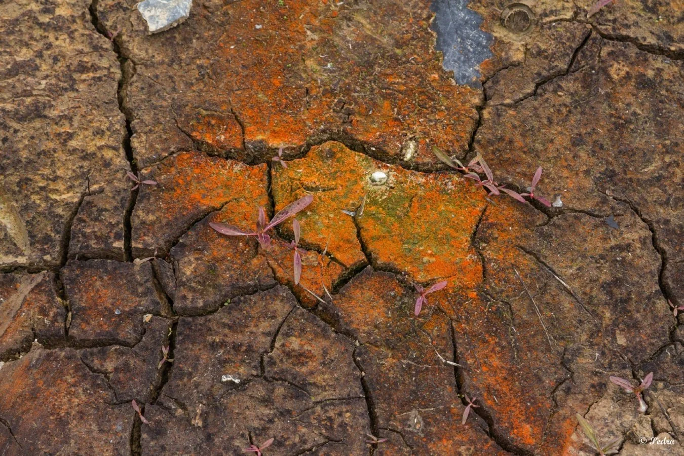 Guerlédan-vide-loxydation-3.jpg