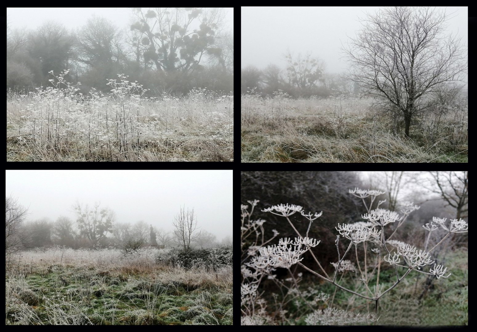 Givre-en-Bretagne.jpg