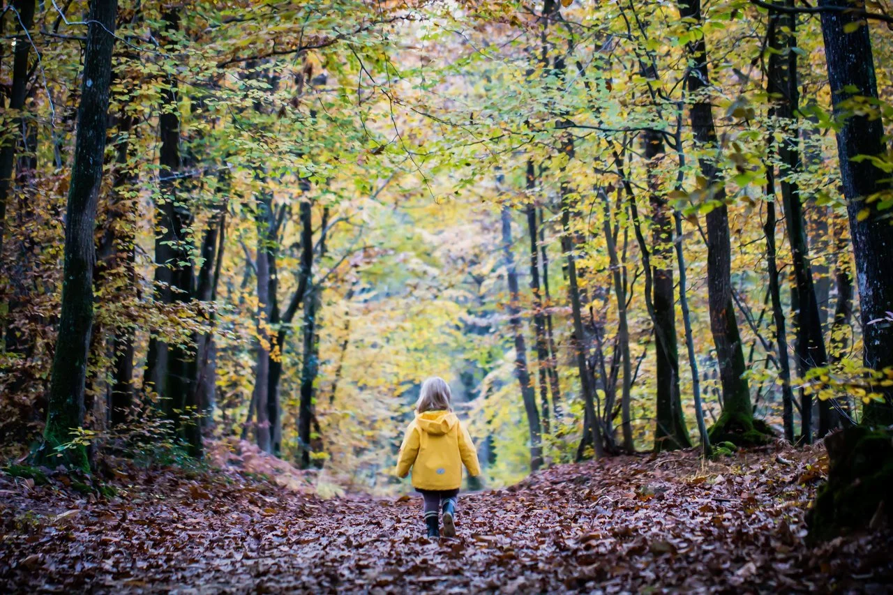 5-la-petite-fille-et-la-foret.jpg