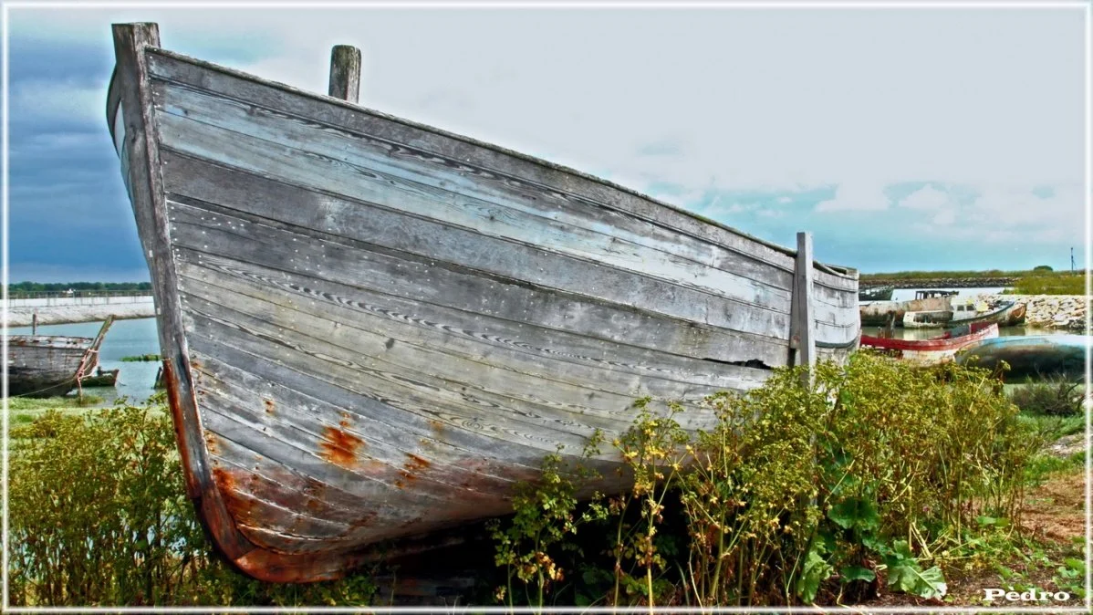 2-bateau.jpg