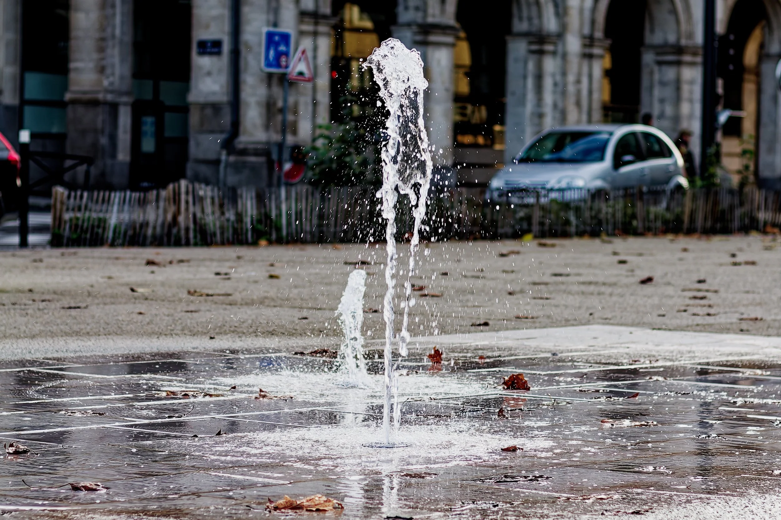 IMG_2119_DxO-5.jpg