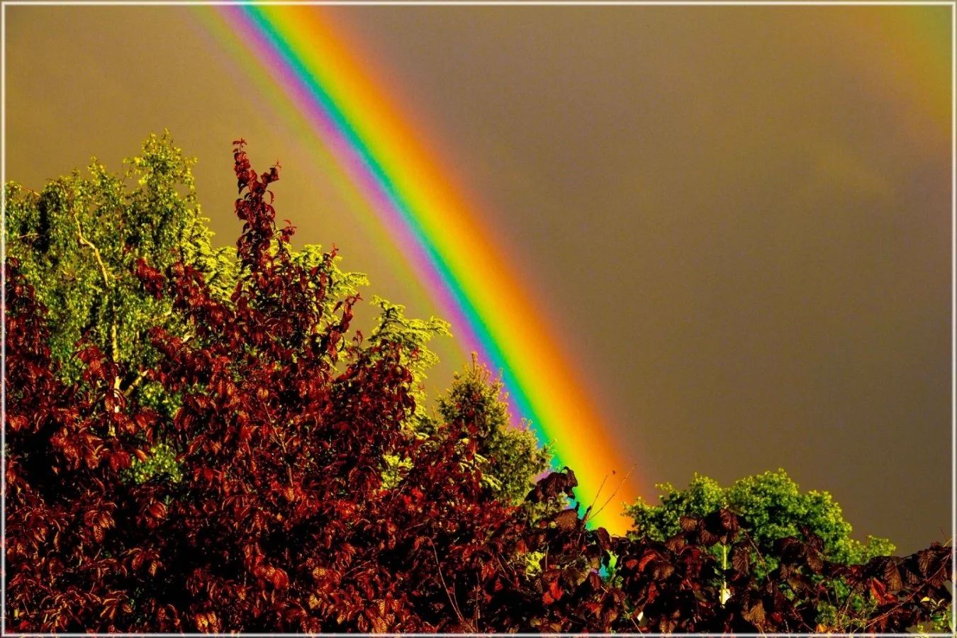 Arc-en-ciel.jpg