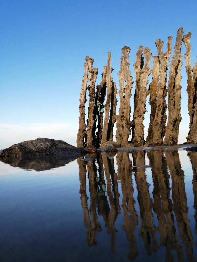 brise-lames-st-malo.jpg