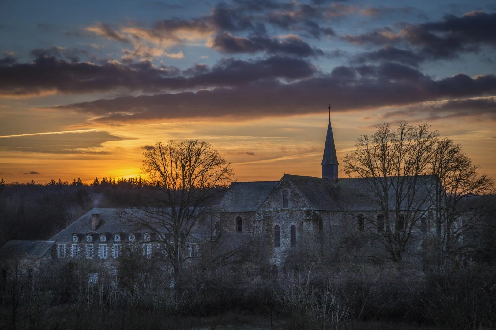 AL_IMG_5066-2_-40-x-60.jpg