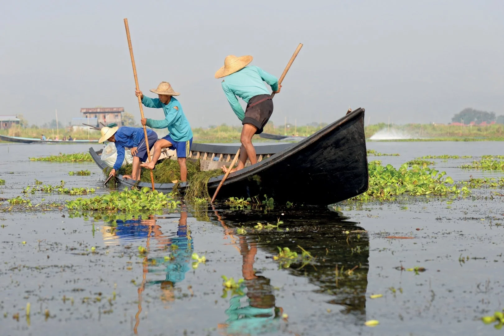 Suzon-et-Dany-Lac-Inle-ramassage-de-plantes-aquatiques-60x40.jpg
