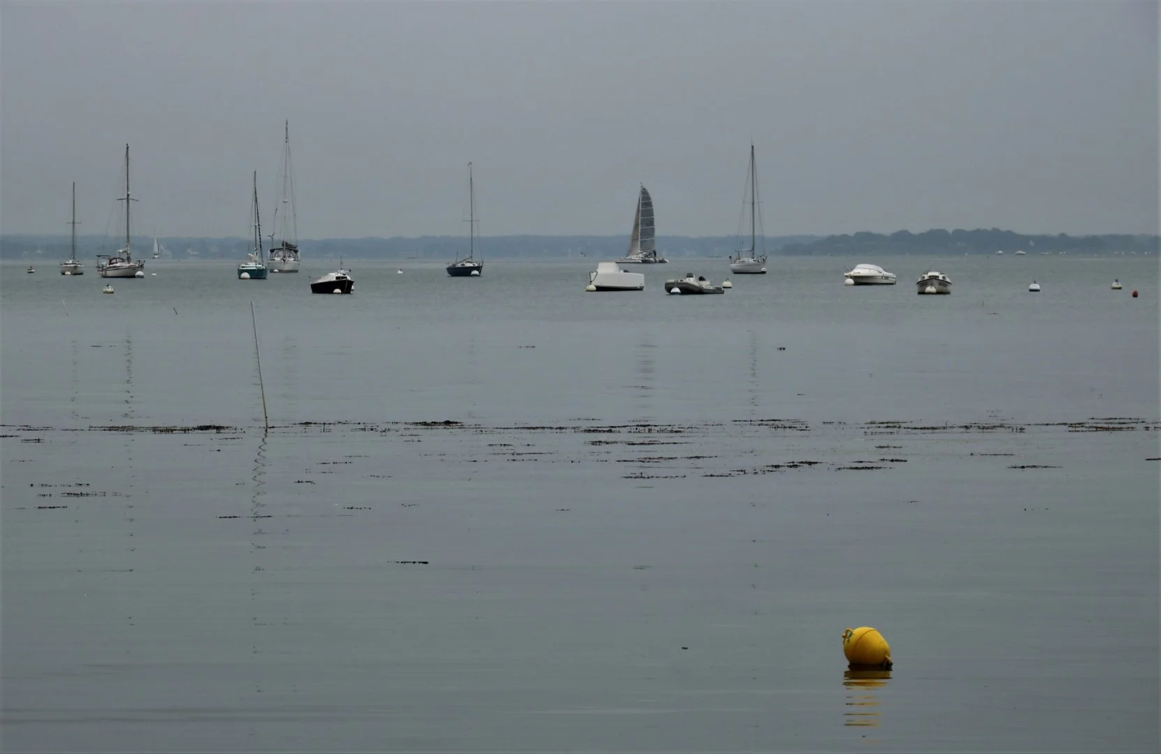 peinture-marine_li.jpg