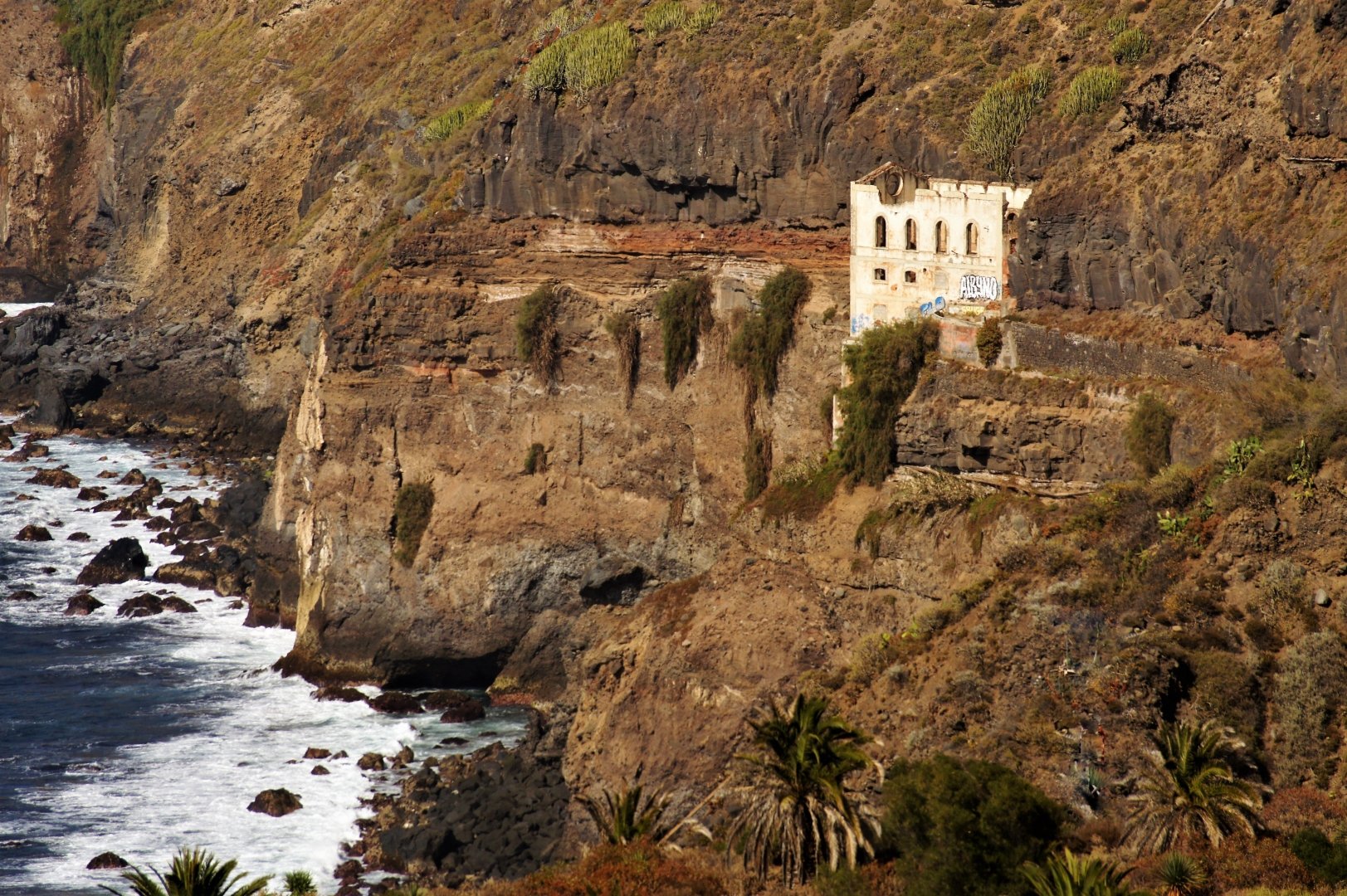 Dans-la-Rambla-de-Castro-à-Tenerife.JPG