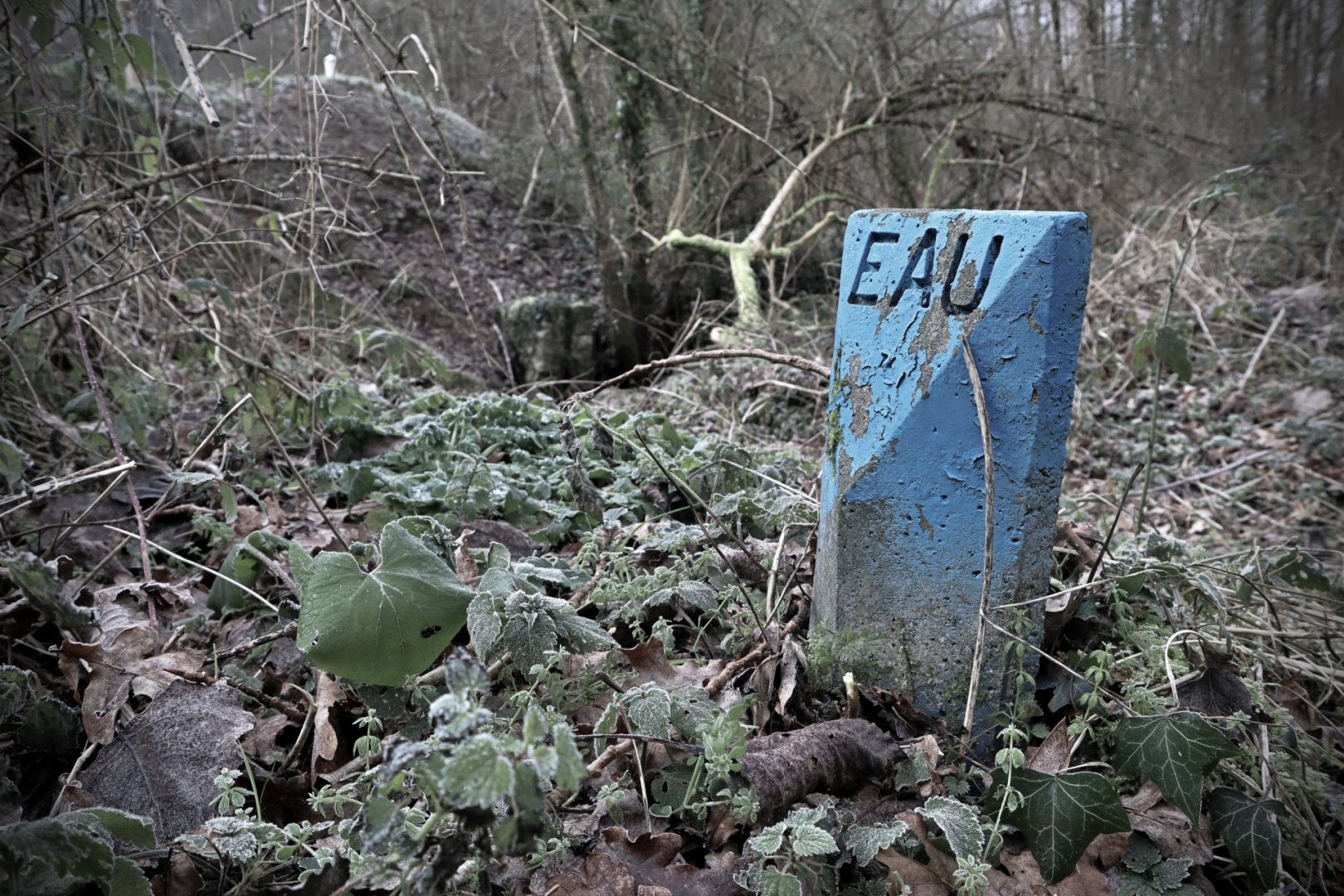 Laval-Image-Defi-Photos-60-ans-Climat-014.jpg